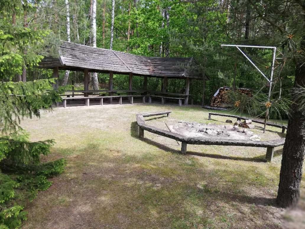 Agroturystyka "Lesne Zacisze Na Podlasiu" Tuczna Luaran gambar