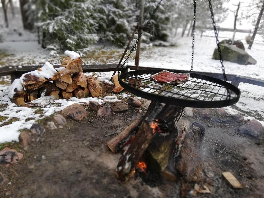 Agroturystyka "Lesne Zacisze Na Podlasiu" Tuczna Luaran gambar