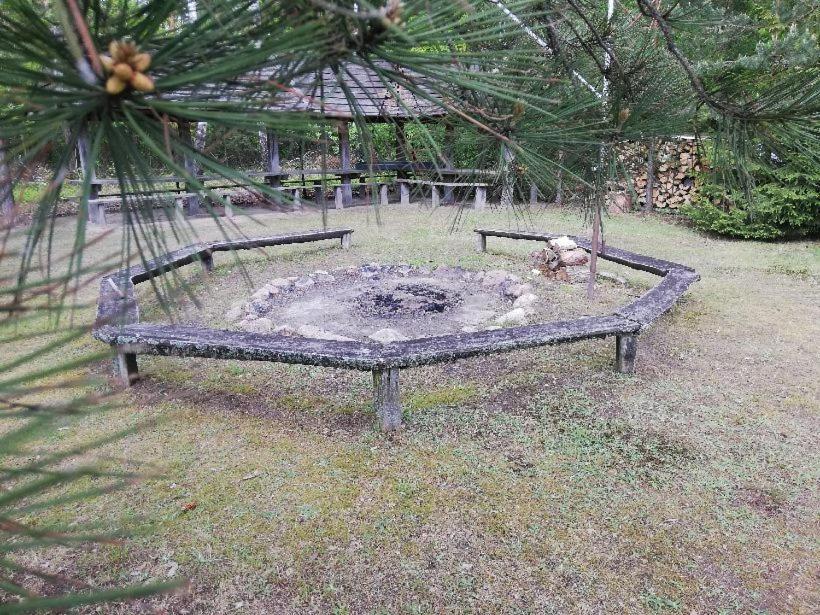 Agroturystyka "Lesne Zacisze Na Podlasiu" Tuczna Luaran gambar