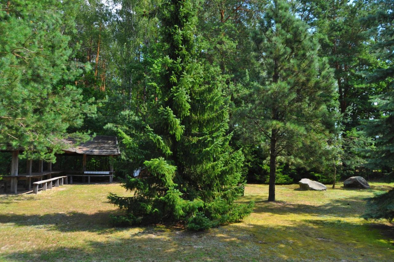 Agroturystyka "Lesne Zacisze Na Podlasiu" Tuczna Luaran gambar