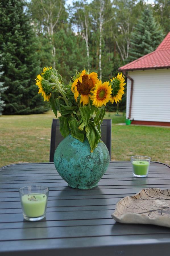 Agroturystyka "Lesne Zacisze Na Podlasiu" Tuczna Luaran gambar