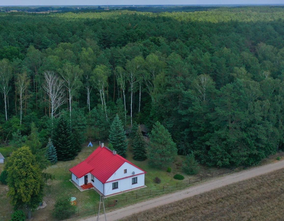 Agroturystyka "Lesne Zacisze Na Podlasiu" Tuczna Luaran gambar